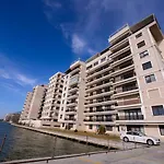 Solid * Mamaia