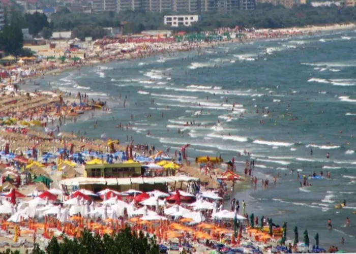 Appartamento Solid *